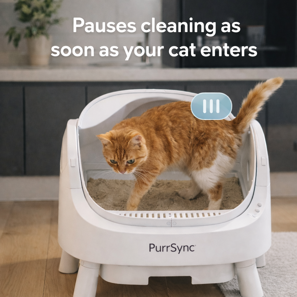 PurrSync Open-Top Cat Litter Box