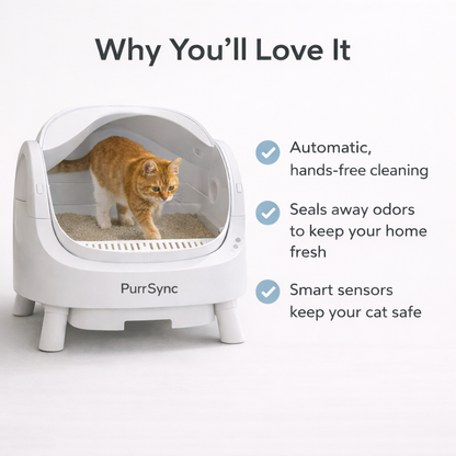 PurrSync Open-Top Cat Litter Box